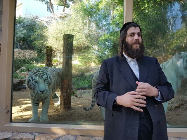 ישראל פרוש בגן החיות בחיפה (צילום: אתי אררט)