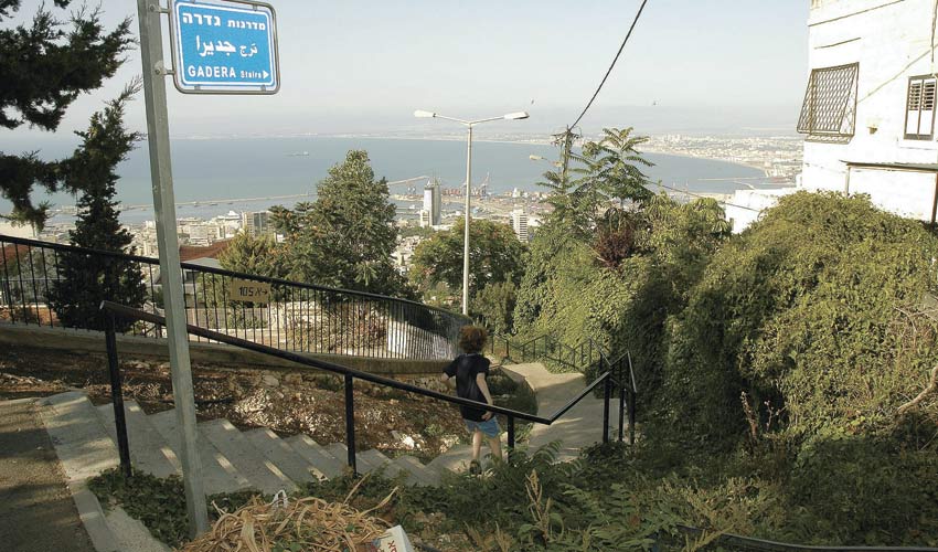 מדרגות גדרה בחיפה (צילום: אסף אורן)