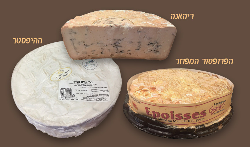 גבינות: אפואס דה בורגון, בלו דה באסק, ברי דה שבר טנדר.
