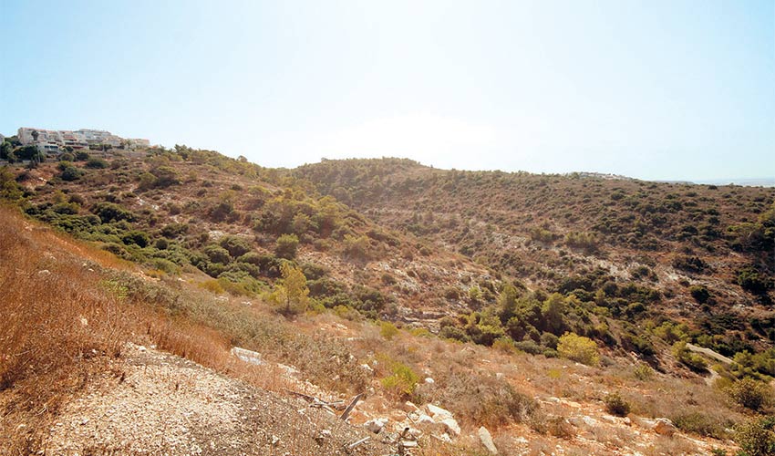 האזור שבו נמצאים השטחים המיועדים להפקעה (צילום: קובי פאר)