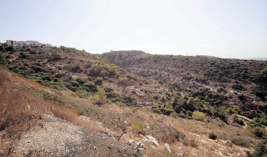 השטח שעליו מתוכננת הקמת השכונה רמת גוראל (צילום: קובי פאר)