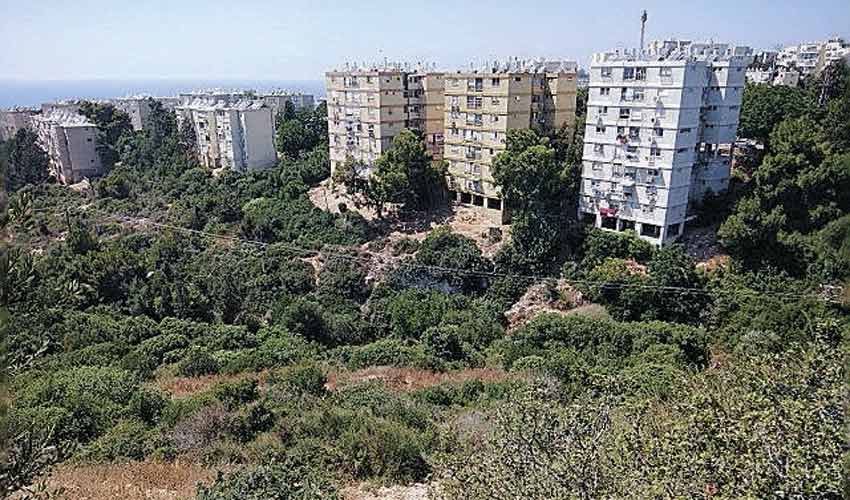 המגרש ברחוב דרך הים 188 (צילום: רמי שלוש)