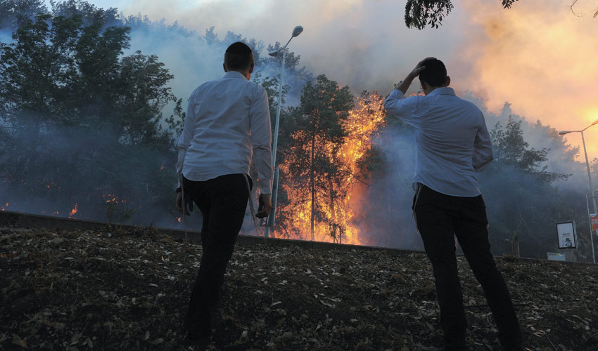 השריפה הגדולה בחיפה בנובמבר 2016 (צילום: רמי שלוש)
