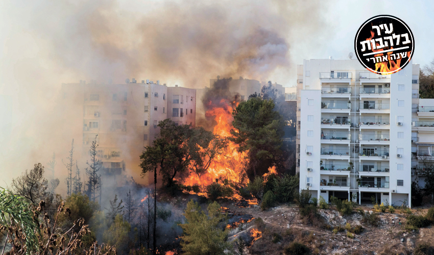 השריפה בחיפה (צילום: Jack Guez, AFP)