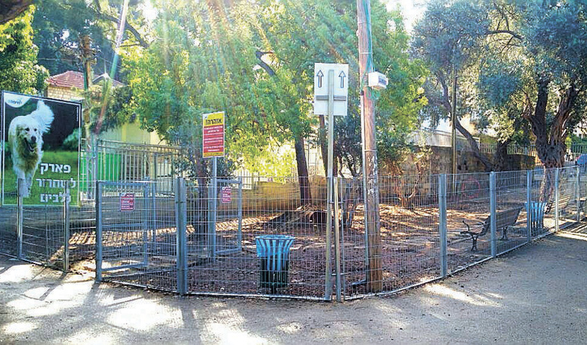 פארק כלבים בגן בנימין בחיפה (צילום: מחלקת הגנים בעיריית חיפה)