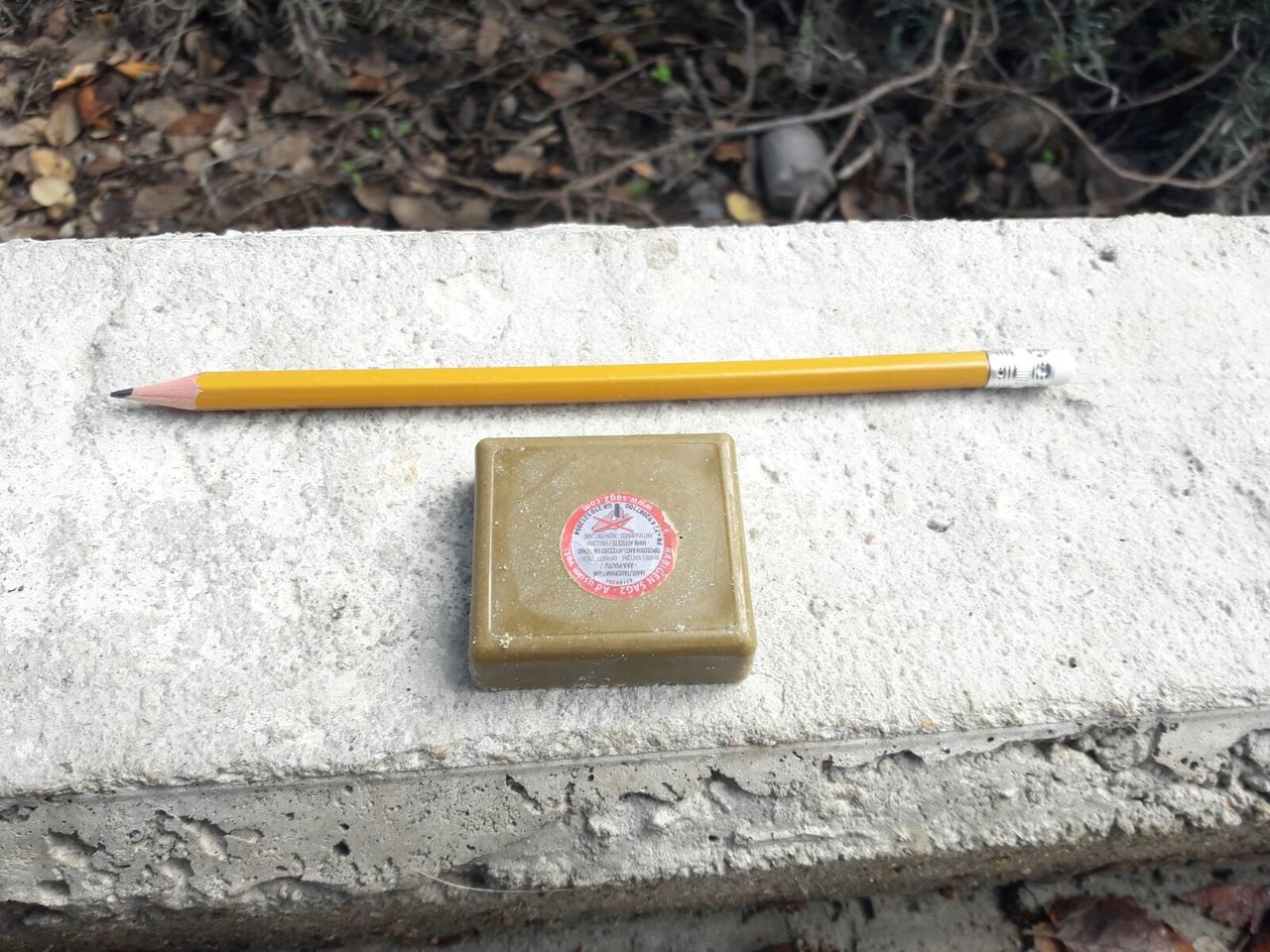 פיתיון חיסון נגד כלבת (צילום: דוברות המועצה המקומית קרית טבעון)