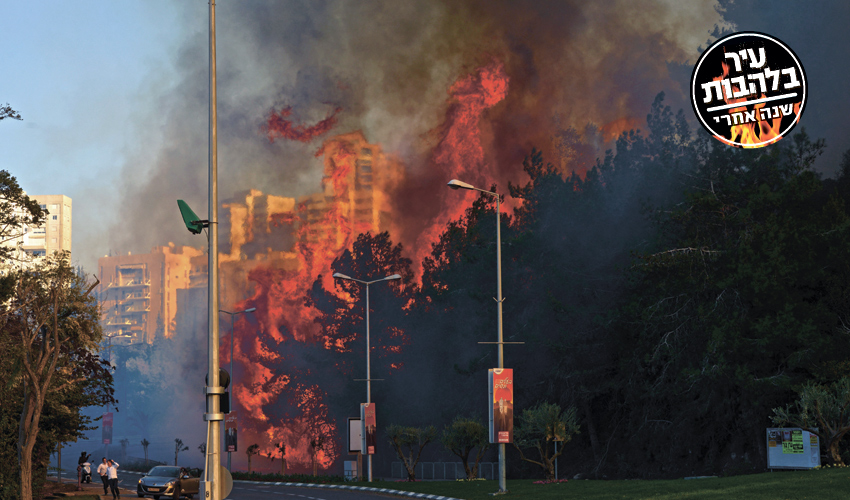השריפה בחיפה בשנה שעברה (צילום: גיל אליהו)