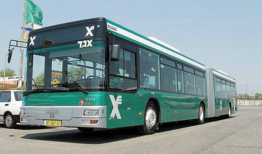 אוטובוס של אגד (צילום: חברת אגד)