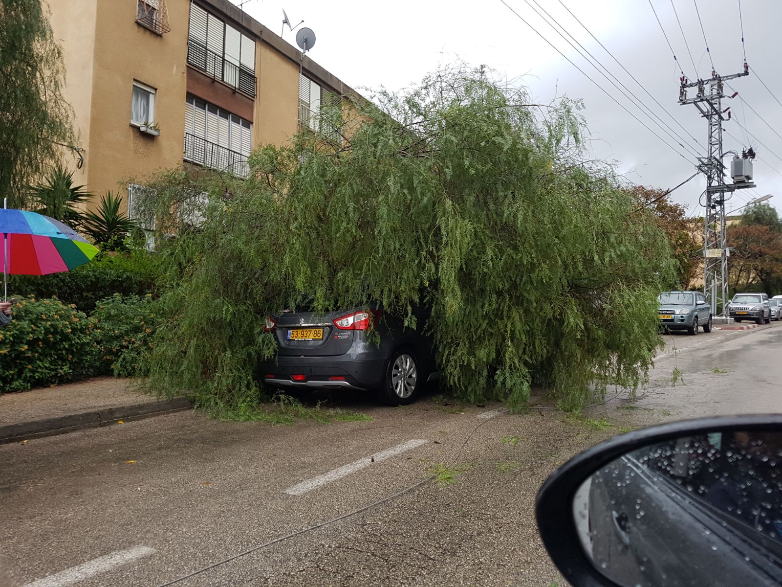 עץ שנפל על רכב בקרית אתא (צילום: דוברות איחוד הצלה כרמל)