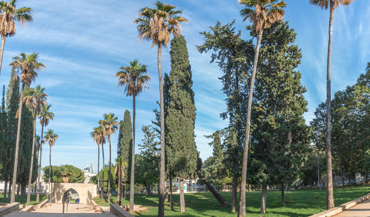 הגן ההיסטורי של הטכניון (צילום: אייל אמיר ומושון תמיר)