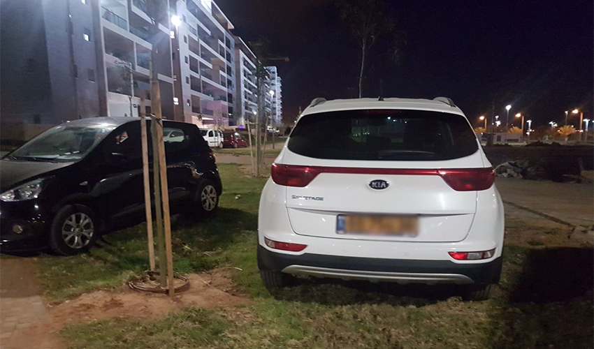 מכוניות חונות בפארק בנאות פרס