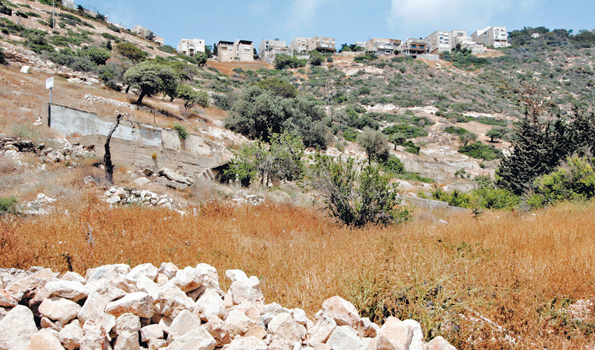 שלוחת ההר שבה מוצעים שני כבישים חדשים לחיבורה של כרמליה מערבה (צילום: חגי פריד)
