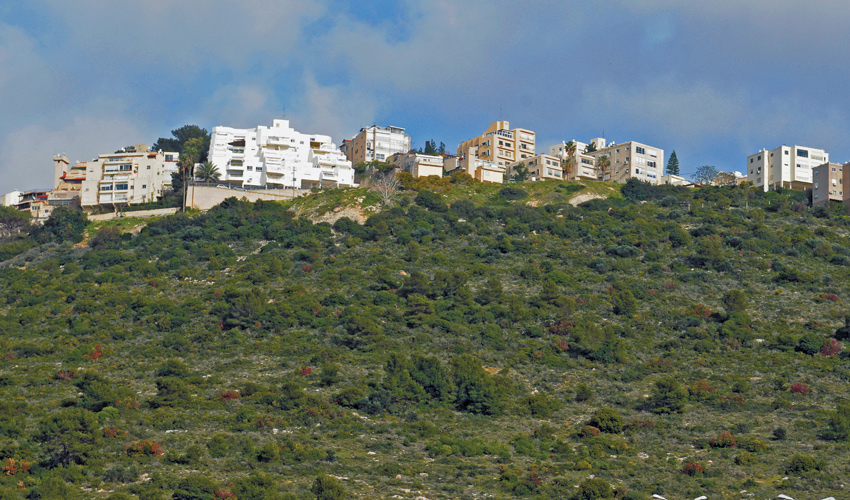מורדות לינקולן (צילום: רמי שלוש)