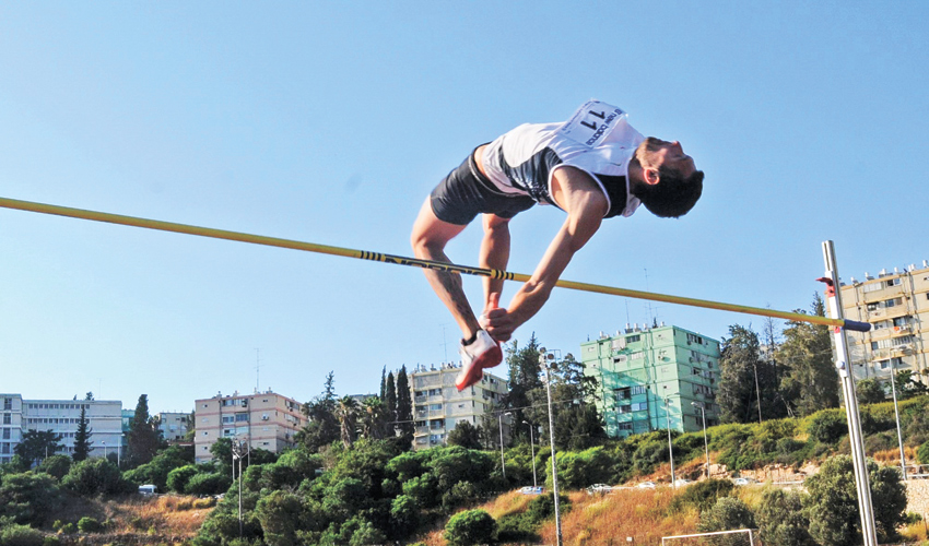 ניקי פאלי. "בשלב זה עדיין לא החלטתי אם לפרוש או לא" (צילום: רמי שלוש)