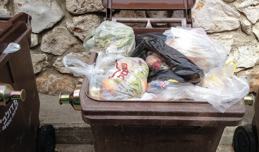 פח פסולת אורגנית (צילום: עמיעד לפידות)