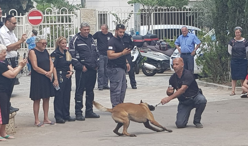 יחידת הכלבנים ביום קהילה ומשטרה בבית הספר רמב"ם (צילום: דוברות מחוז חוף של המשטרה)