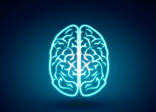 Glowing brain Free Vector By freepik