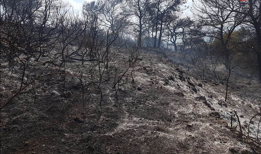 נזקי השריפה (צילום: דוברות מחוז חוף בשירותי כיבוי והצלה)