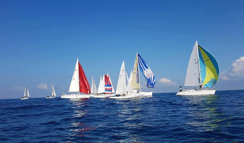 שיוט הערים בשנה שעברה (צילום: קהילת שייטי כרמל)