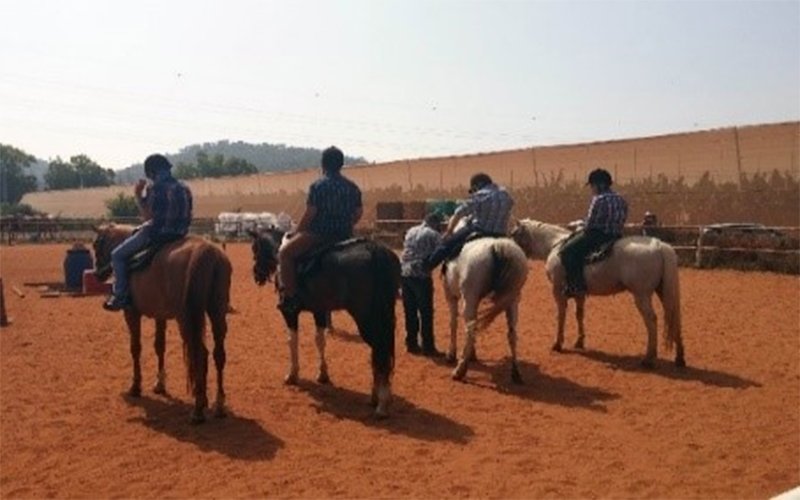 התלמידים בתוכנית החדשה (צילום: מרכז החינוך ליאו באק)