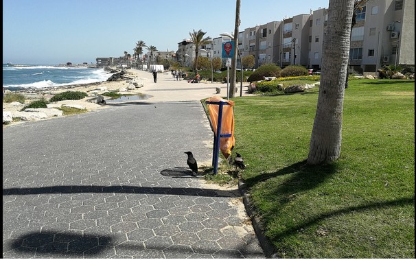 טיילת בת גלים