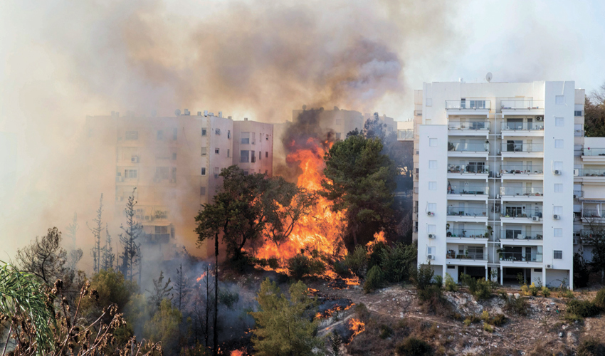 שריפה בחיפה (צילום: Jack Guez, AFP)
