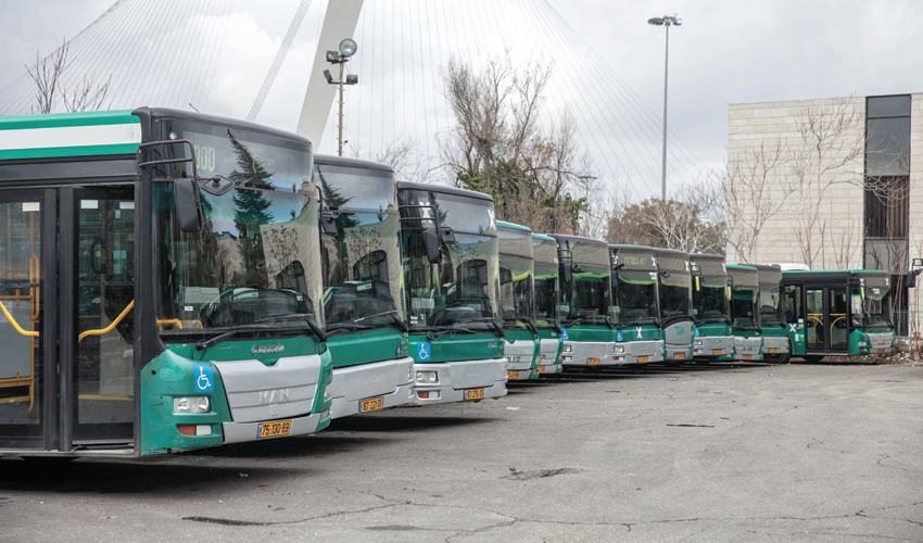 אוטובוסים של אגד (צילום: אמיל סלמן)