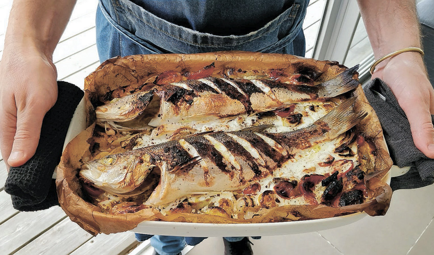 הדגים של ארז גולקו (צילום: נטאלי אנדצויג גולקו)