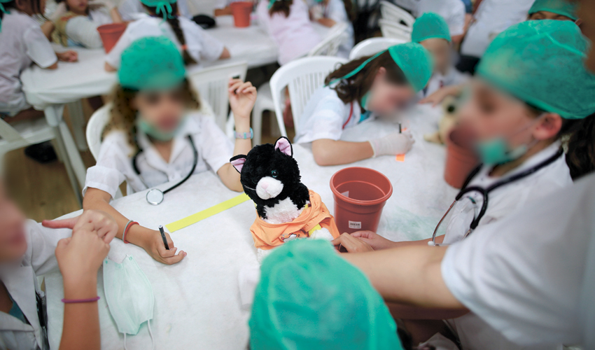 קייטנת מדע (צילום אילוסטרציה: אילן אסייג)