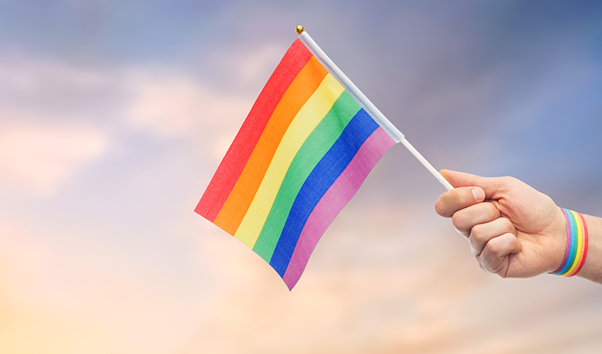 דגל הגאווה (צילום: א.ס.א.פ קריאייטיב/INGIMAGE)