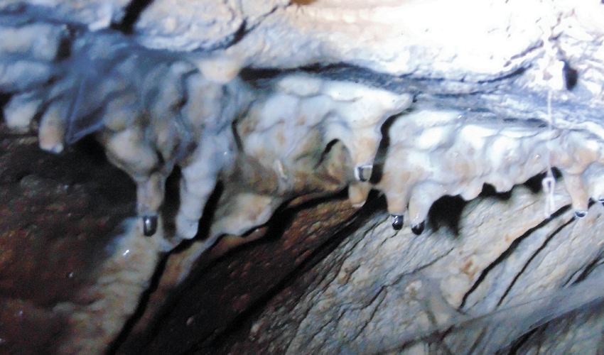 נטיפים במערת אצבע (צילום: יוסי מזור)