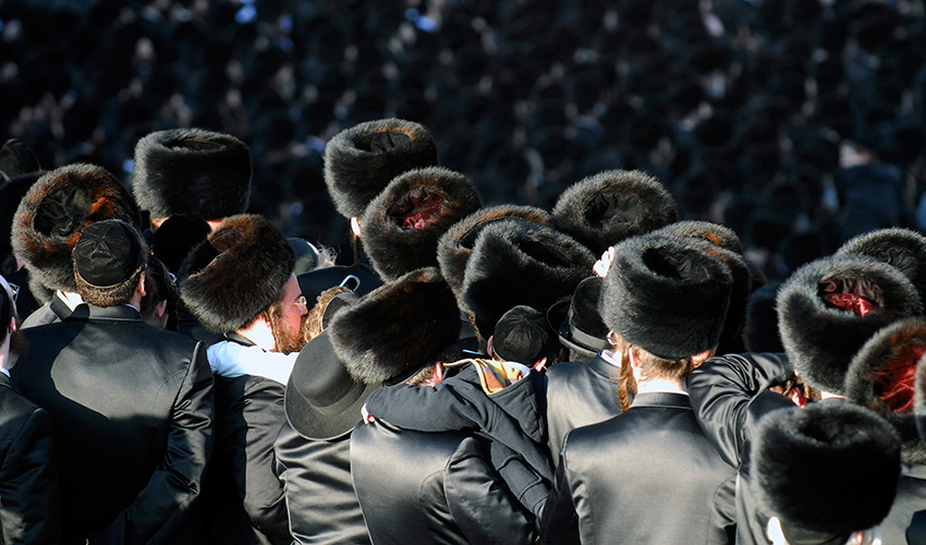 חרדים (צילום: אבי אוחיון, לע"מ)