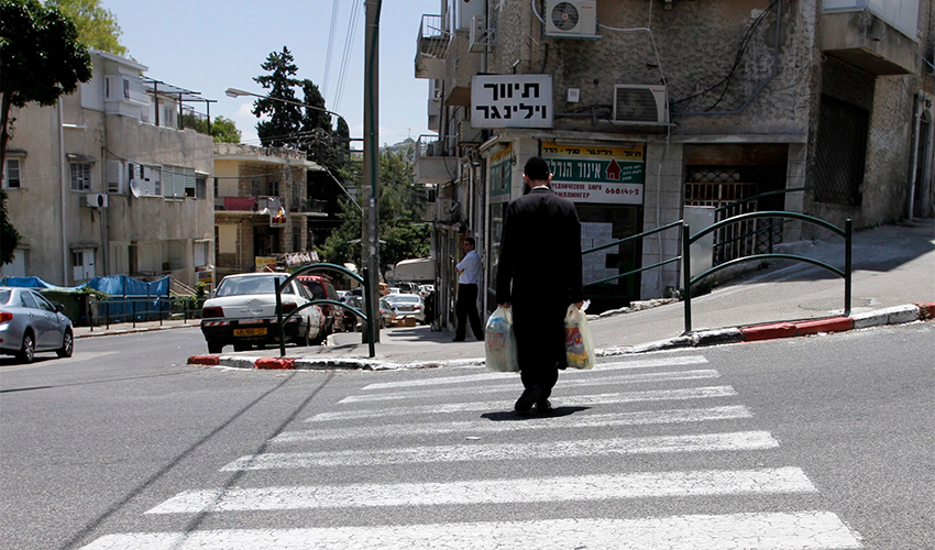 רמת ויז'ניץ (צילום: חגי פריד)