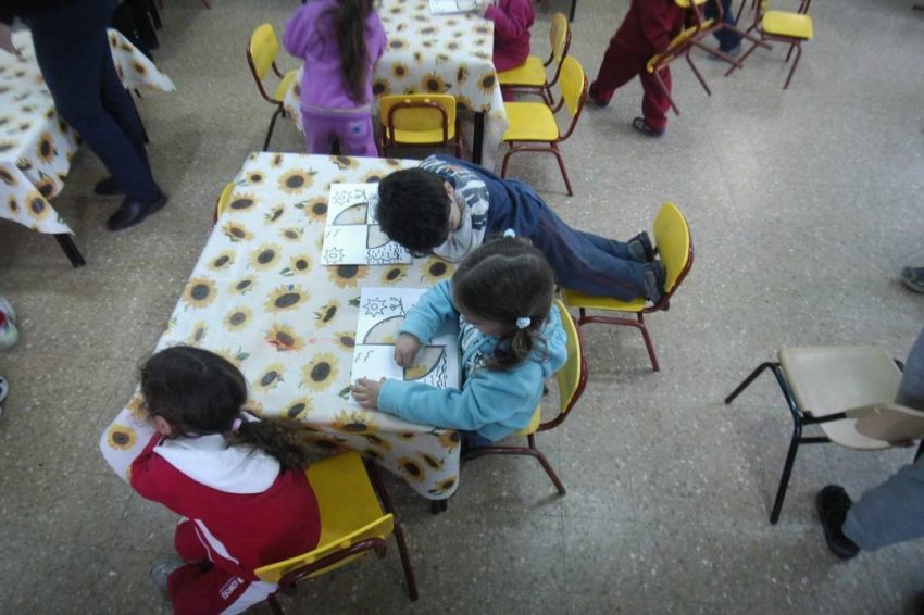 צהרון (צילום: תומר אפלבאום)