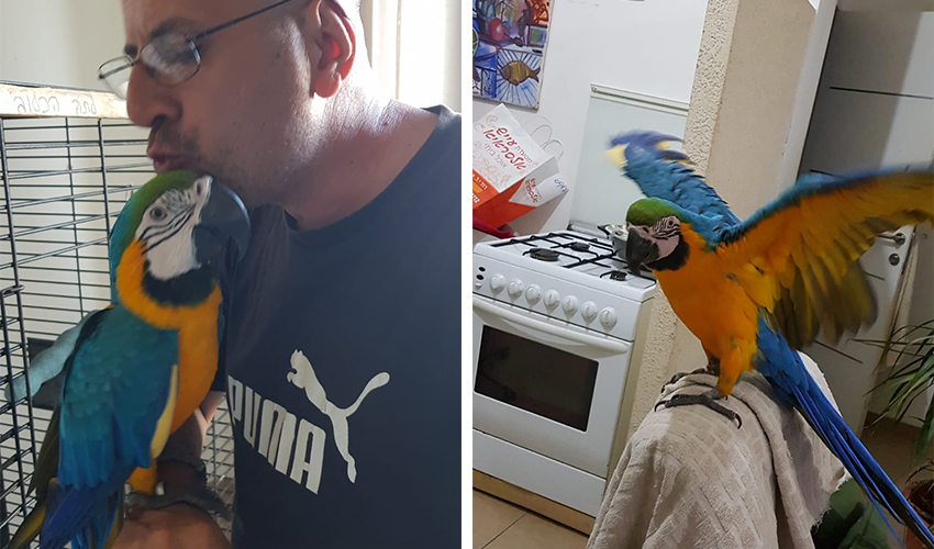 עזרא מנשה והתוכי (צילום: דוברות עיריית חיפה)