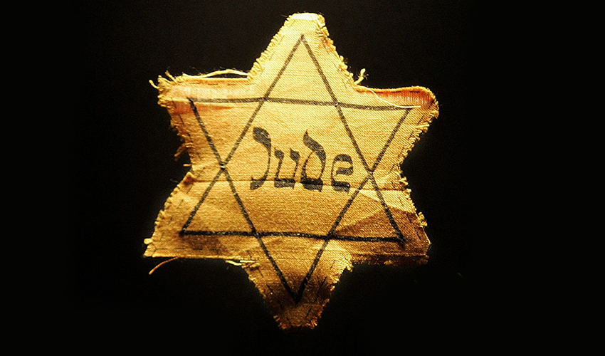 טלאי צהוב (צילום: AP)