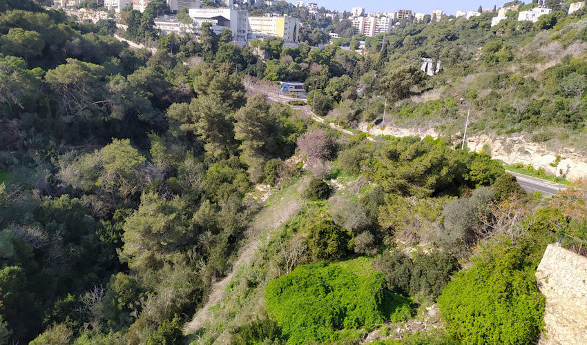 נחל אבן (צילום: יחיעם ויץ)