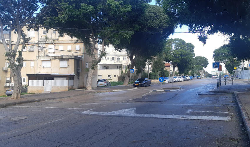 נוה דוד