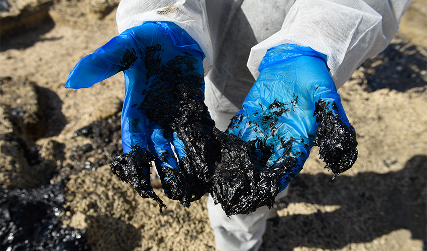 זפת בחופי חיפה (צילום: רמי שלוש)