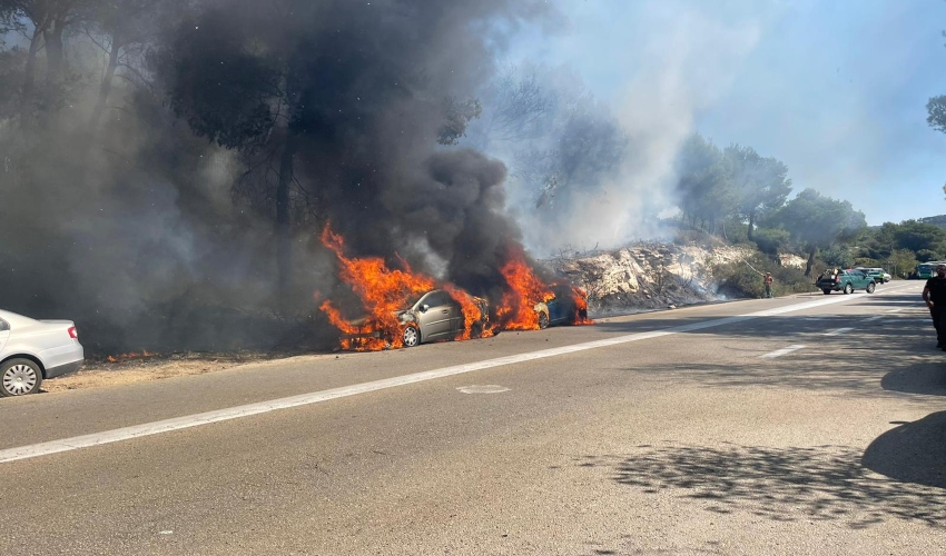 שריפת כלי רכב יערות הכרמל (צילום: דוברות כבאות והצלה חוף)