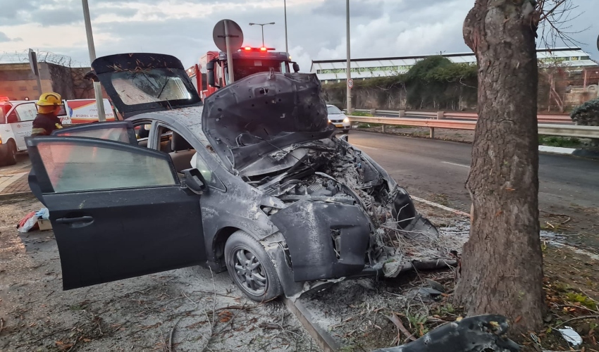 המכונית ההיברידית התנגשה בעץ (צילום: דוברות כבאות והצלה חוף)