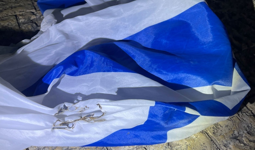 דגלי ישראל שנתלשו (צילום: דוברות המשטרה)