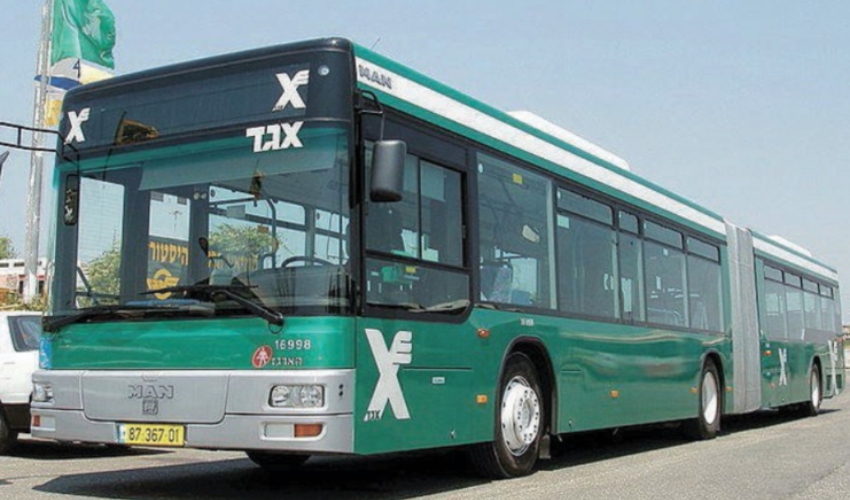 אוטובוס של אגד (צילום: דוברות אגד)