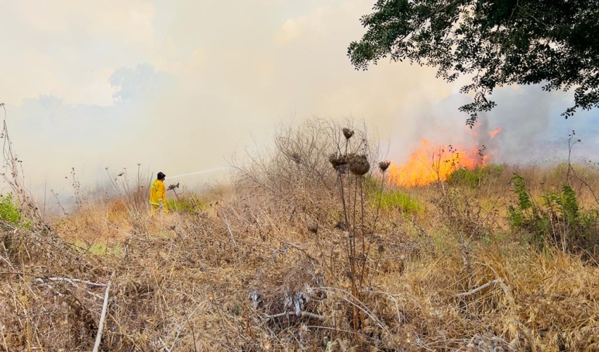 שריפה גדולה משתוללת בחורש טבעי בקרית אתא (צילום: דוברות כבאות והצלה חוף)