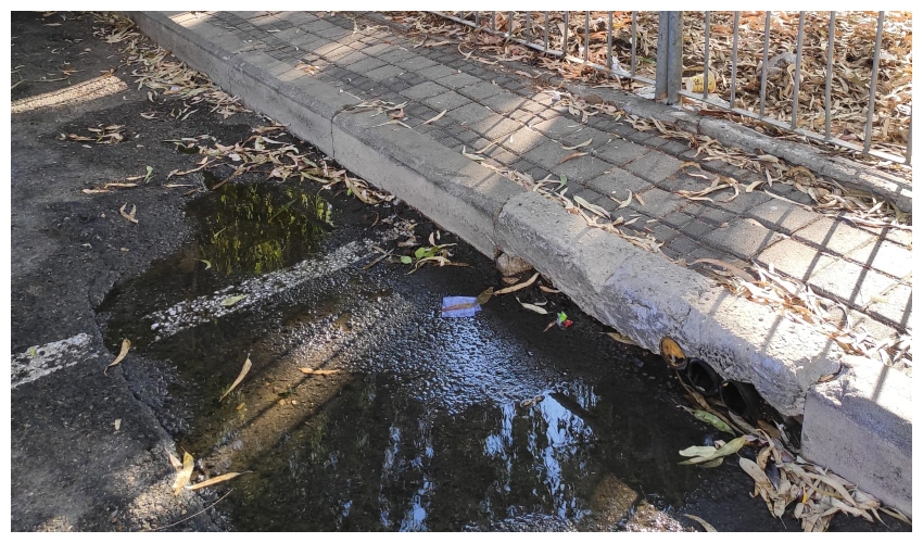 שלולית בפתח הגנים יונה ונקר (צילום: עדי פאר)