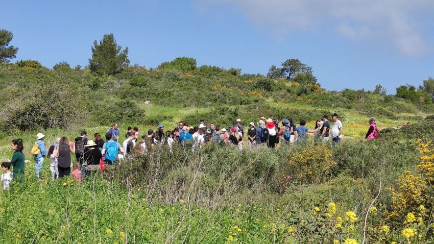 טיול בטבע החיפאי (צילום: עודד ארזי)