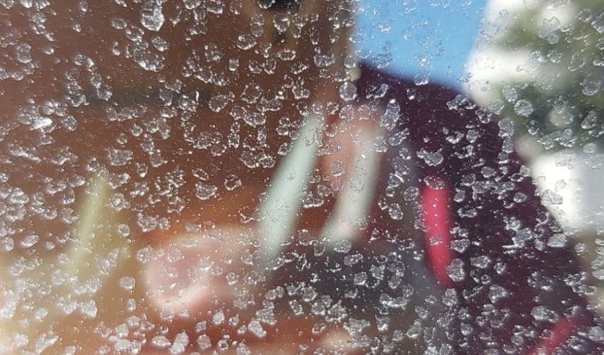 תקריב של טיפות הצוף הדביקות על שמשת רכב (צילום: גליה ילין)