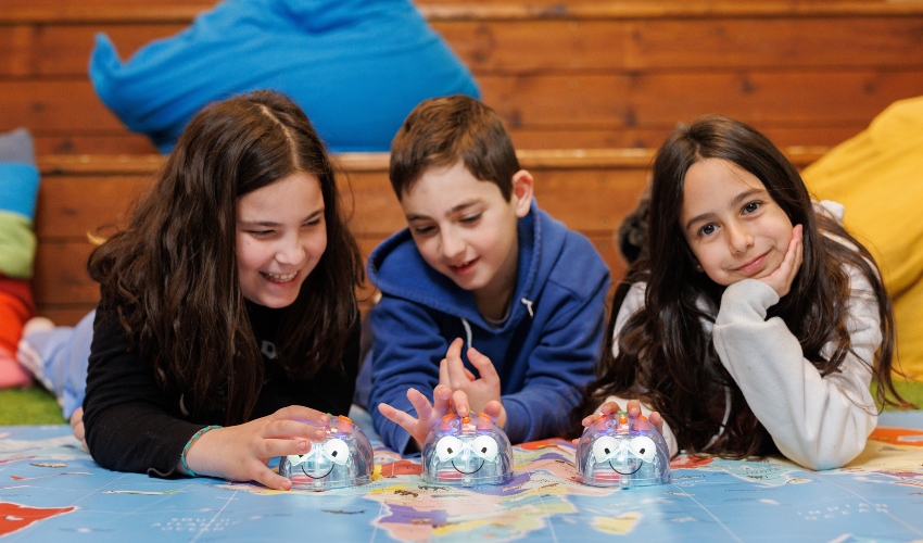 חיפושית בלובות' (צילום: מיכה בריקמן)