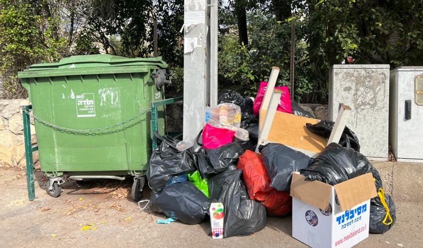 רחוב חניתה 61 (צילום: חגית הורנשטיין)