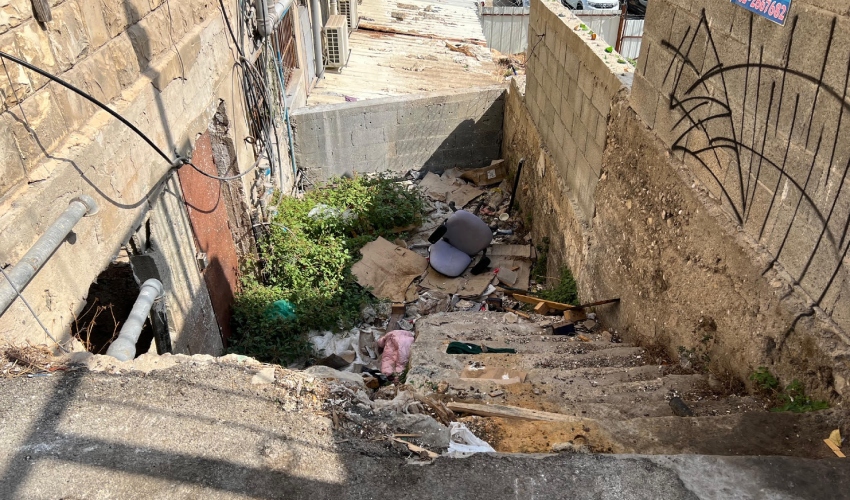 מדרגות דבורה: מבט אל קיר הלבנים מרחוב סירקין 7 (צילום: חגית הורנשטיין)